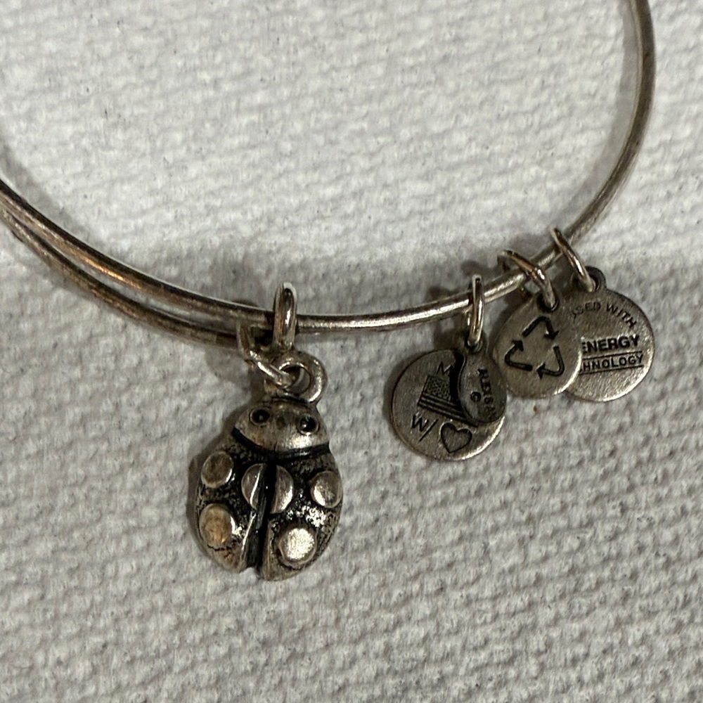 Alex and Ani Silver Ladybug Charm Bangle Bracelet